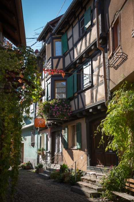 Eguisheim - 106